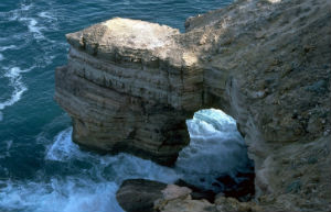 Natural Bridges