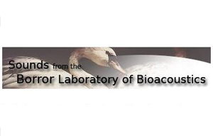 Bird Sounds from the Borror Laboratory of Bioacoustics
