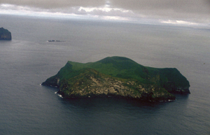 Coastal processes, wave erosion