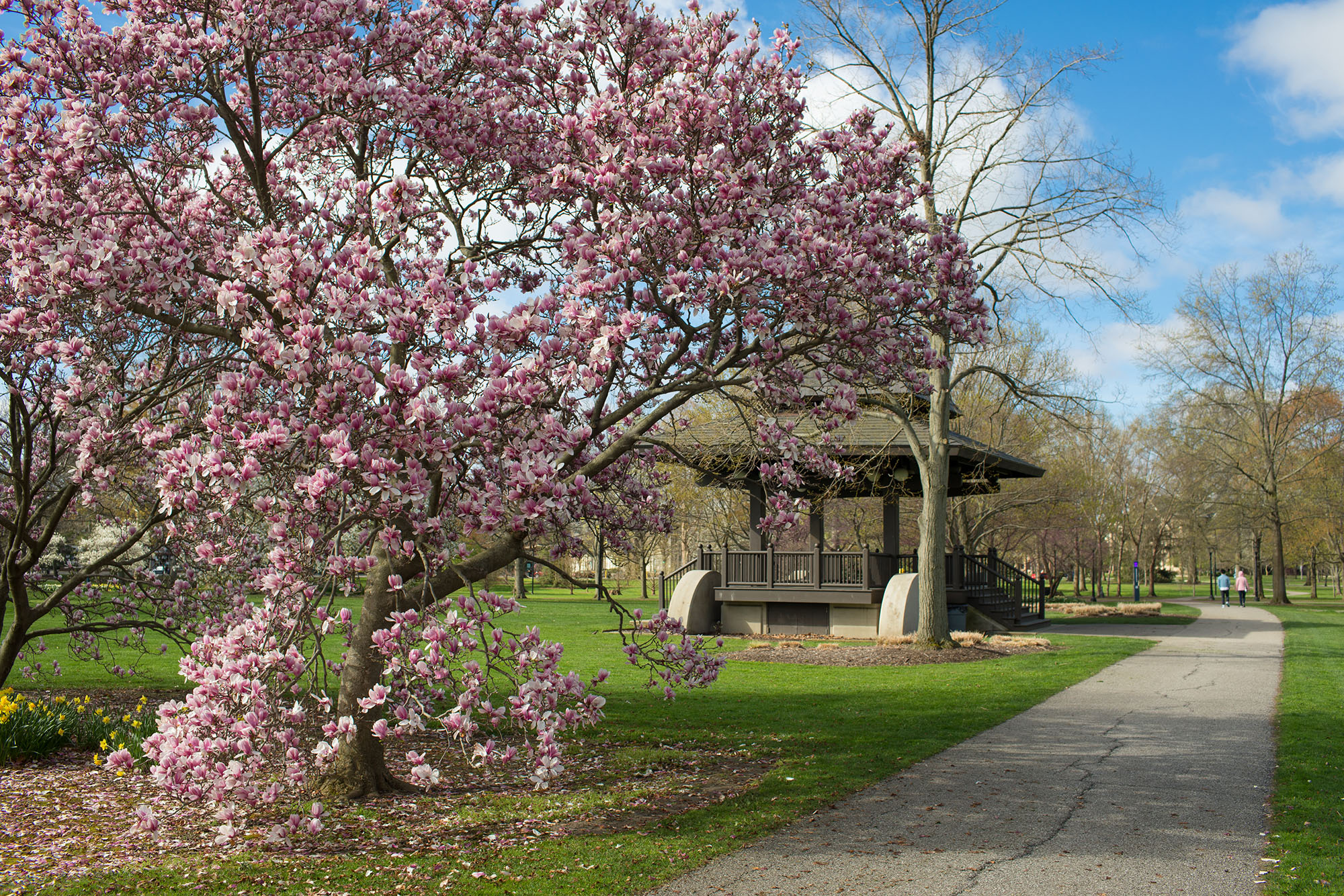 Scenic view of Tappan Square