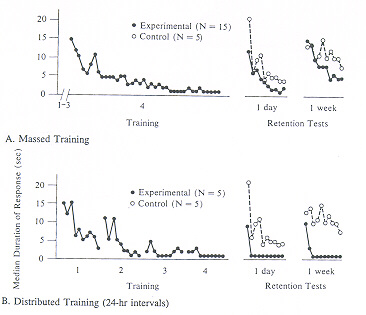 Massed vs distributed training in Aplysia