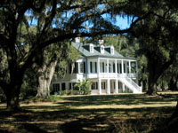 GrovePlantation
