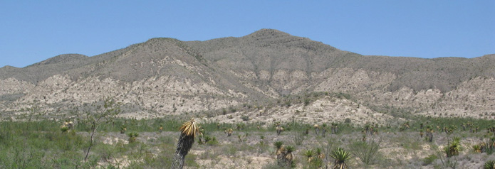 Sierra Amargosa gypsum
