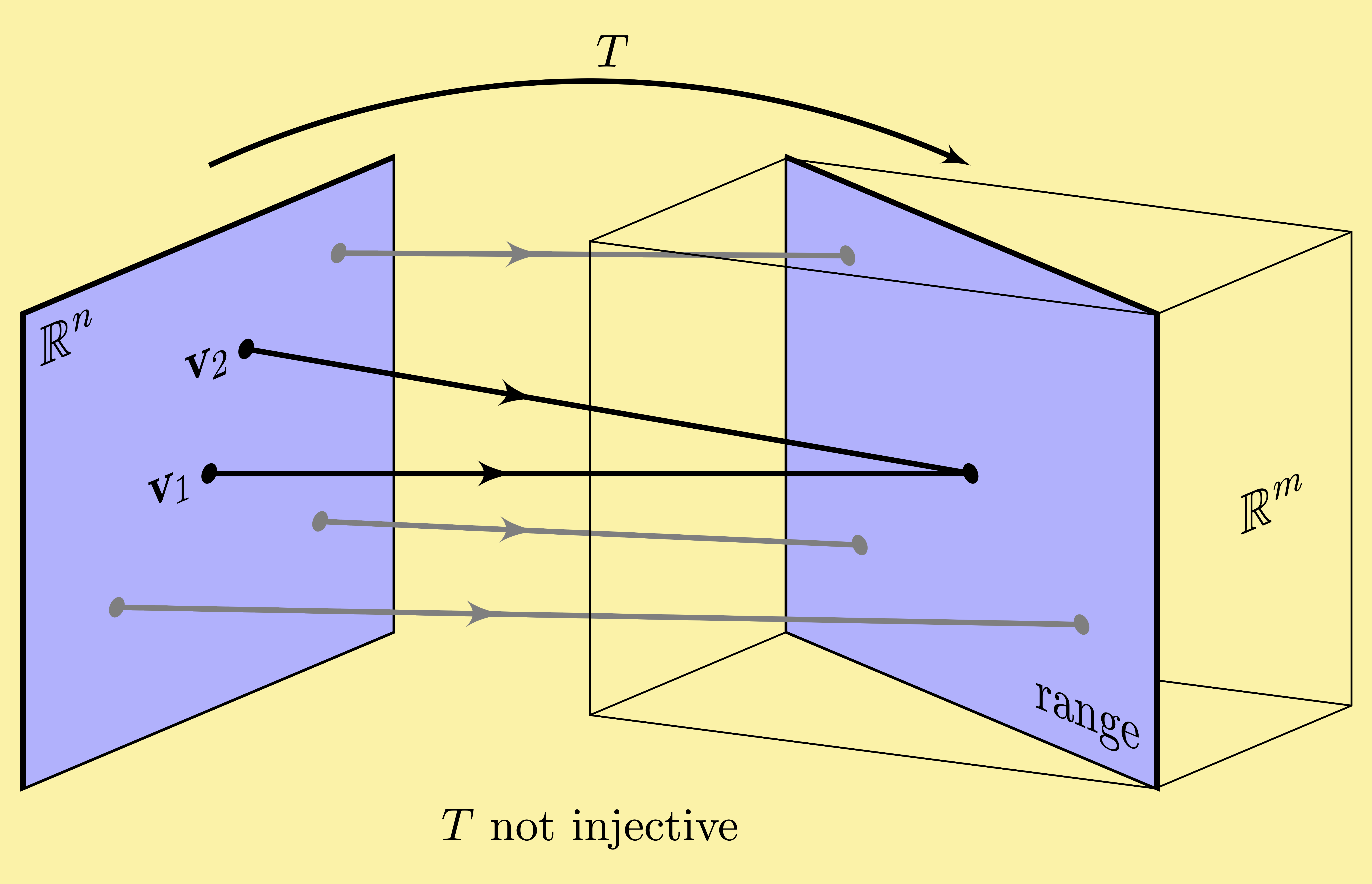 linear algebra not injective linear transformation