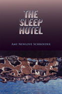 The Sleep Hotel
