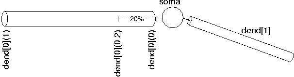 STh equivelant tree section spacing
