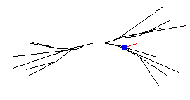 treeA dendritic branch 7 on subthalamic  0