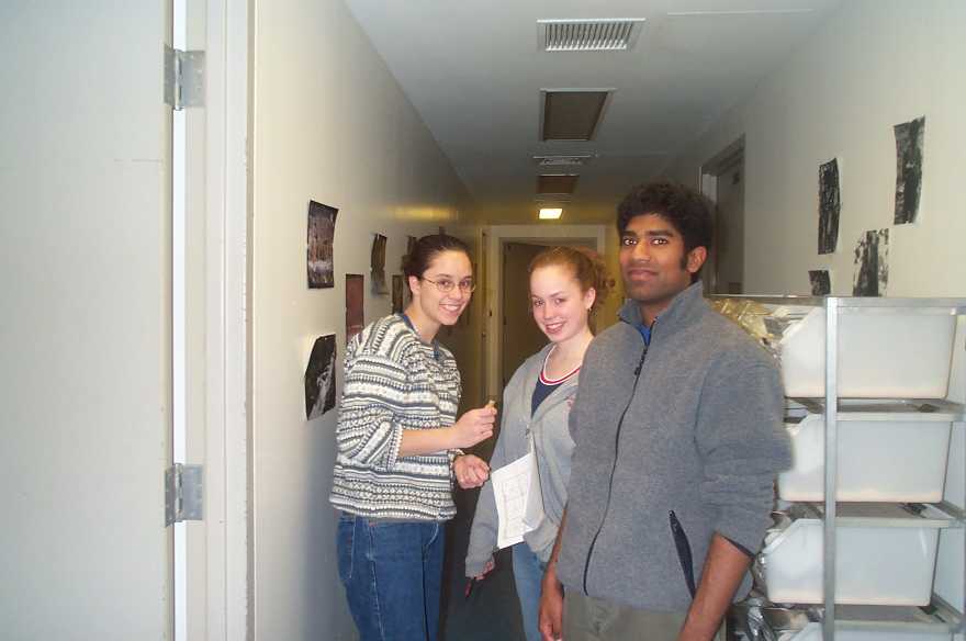 Jane Blaney, Brita Olsson, and  Anil Kesavan