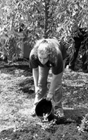 Planting Plants around Oberlin