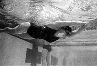 swimmer photo