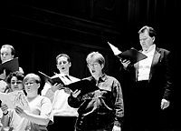 Warland warblers