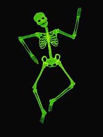 A Very Scary Skeleton