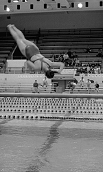 Look out below!  Diver!