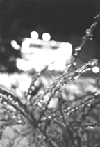 Picture of snow