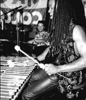 Photo of the Groove Collection