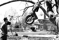 Photo of students playing on the tire swing at Tank Co-op