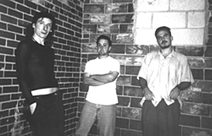 Photo of the band The Connection