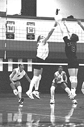 Photo of women's volleyball team