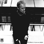 Picture of Sting