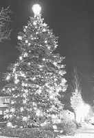 Photo of a tree decorated with lights in town