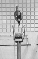 Picture of diver