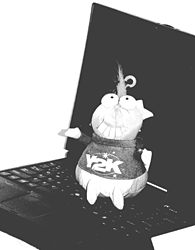 Photo of Y2K teddy bear