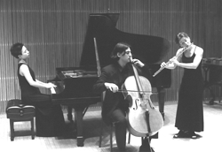 Photo of the Elan Trio playing