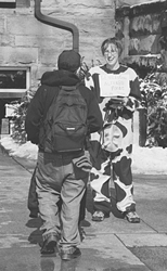 Photo of student dressed as cow in protest