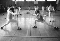 Dueling fencers