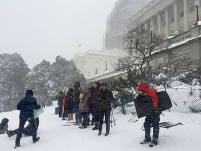 Photo of group sledding on Capitol Hill